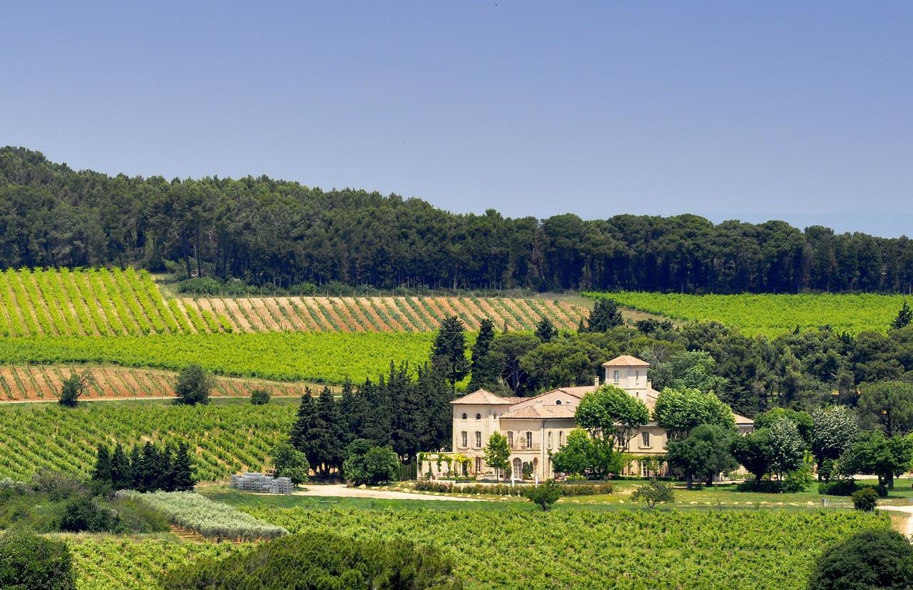 Chambre D'Hotes Chateau Gigognan Sorgues Buitenkant foto
